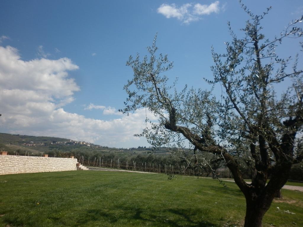 La Piccola Mimosa Lägenhet SantʼAmbrogio di Valpolicella Exteriör bild