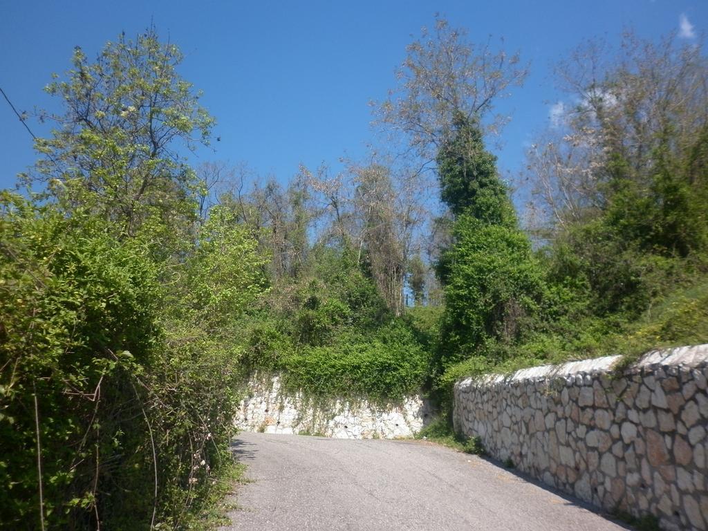 La Piccola Mimosa Lägenhet SantʼAmbrogio di Valpolicella Exteriör bild