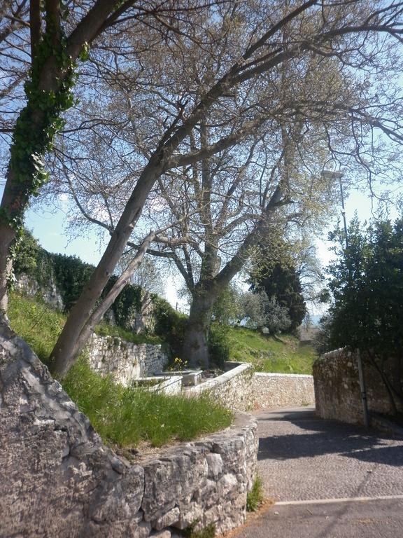 La Piccola Mimosa Lägenhet SantʼAmbrogio di Valpolicella Exteriör bild